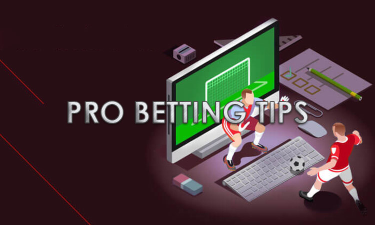Tips for beginners and experienced punters